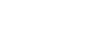 PVI-logo-vit